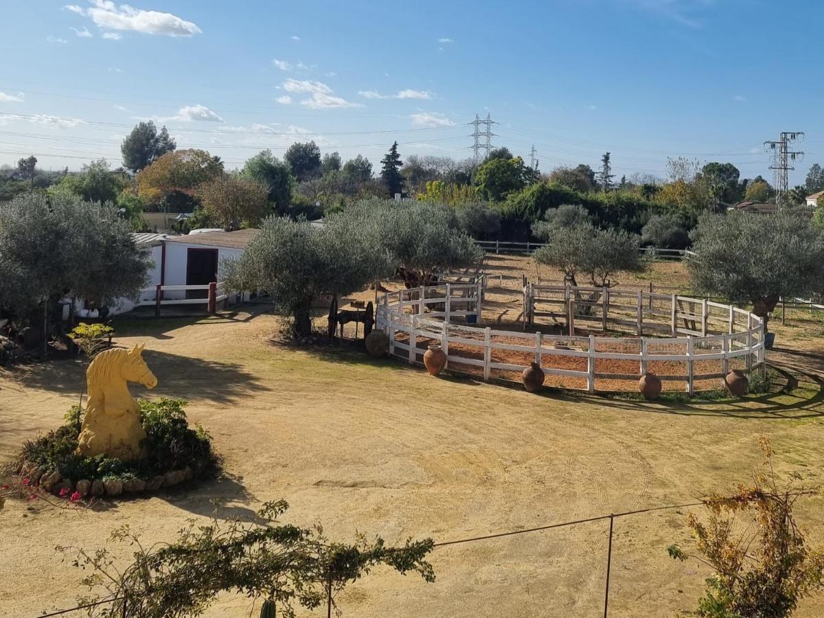 Finca exclusiva  Sevilla Exterior foto