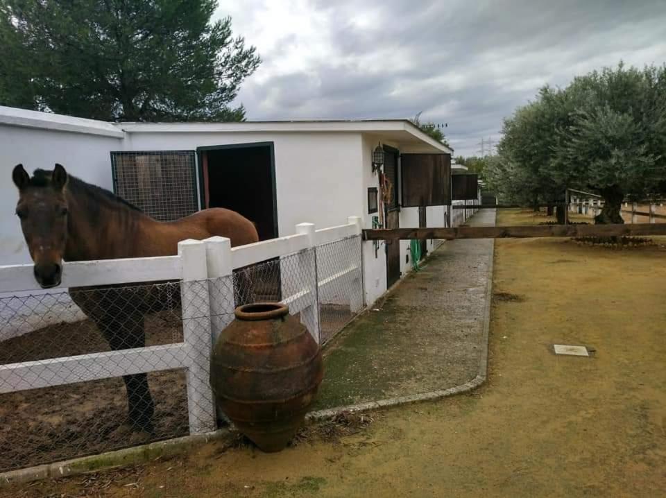 Finca exclusiva  Sevilla Exterior foto